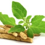 অশ্বগন্ধা পাওডার