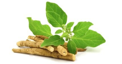 অশ্বগন্ধা পাওডার